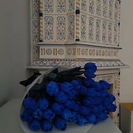 Apartment Anna Lemberg